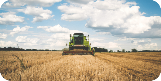 Fonctionnement Globalstar