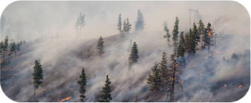 Solutions satellites - Incendies